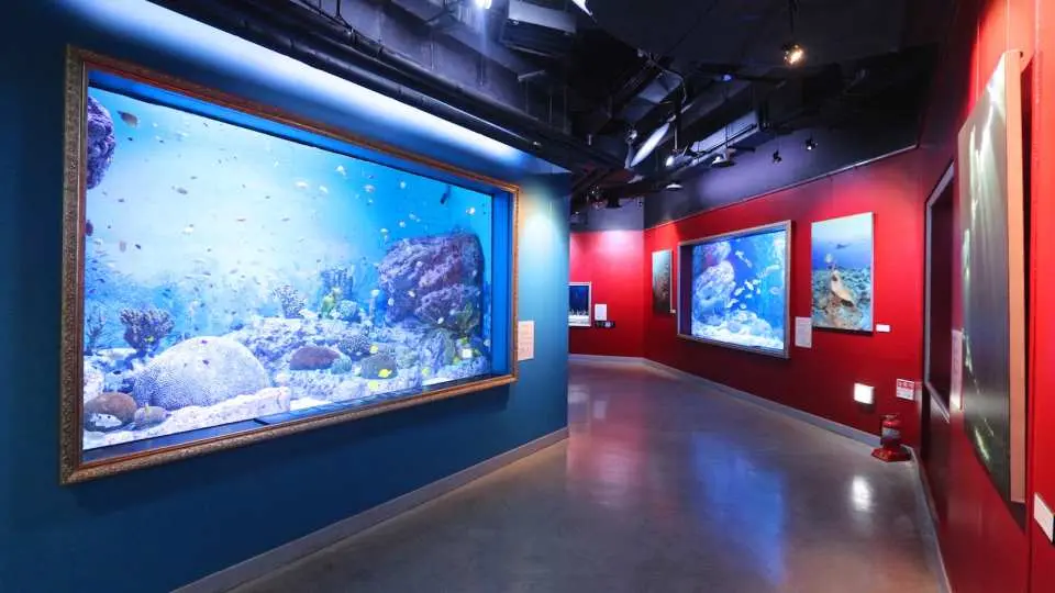 首爾市內景點推薦：COEX  水族館