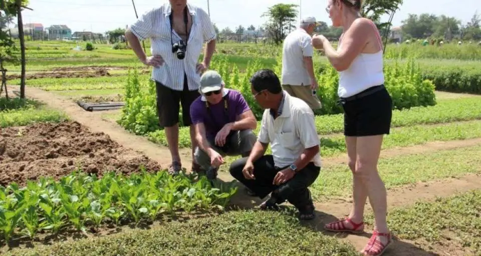 Join the farmers in preparing the land and growing vegetables