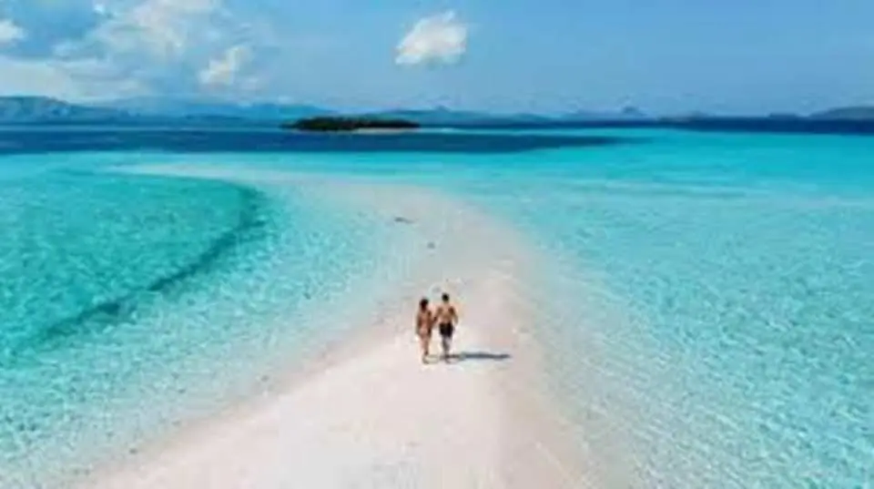 塔卡·馬卡薩爾