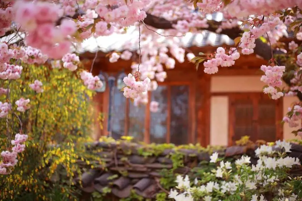 蓋西姆薩寺