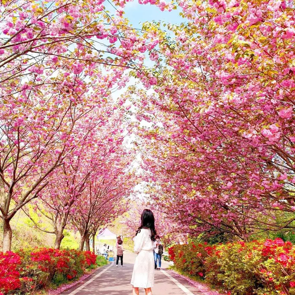 蒙蘇薩寺