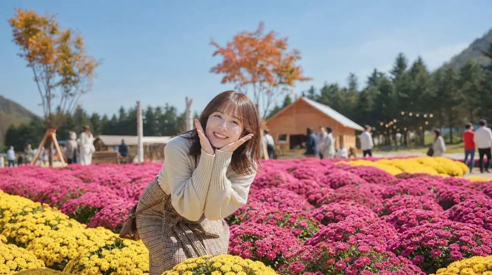 秋の花祭り