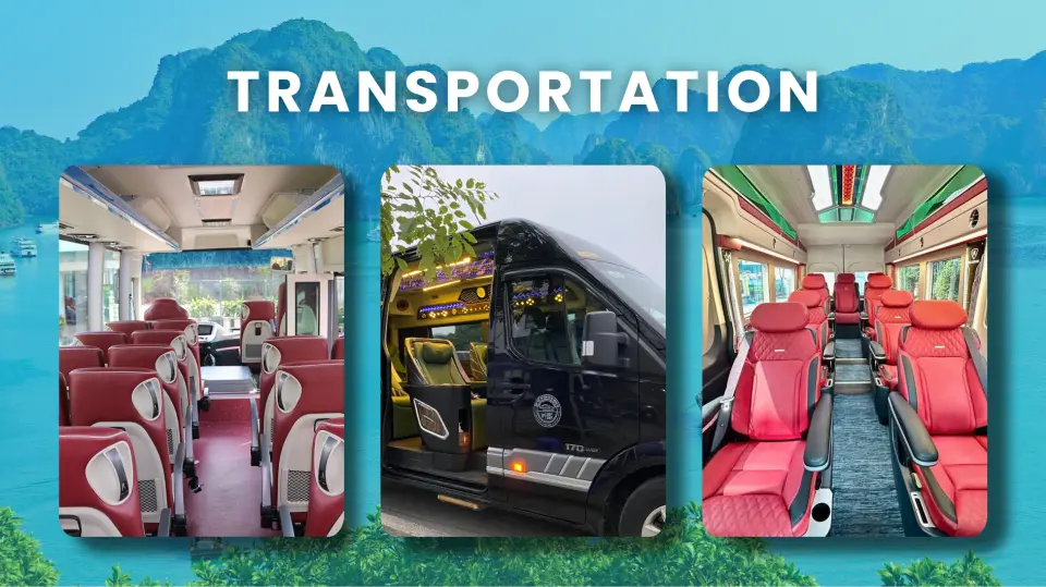乘坐豪華禮車是展開下龍灣旅程的完美方式。沉入柔軟真皮座椅中放鬆身心，伴隨車輛平穩行進，欣賞紅河三角洲如畫般的風景。一路可眺望翠綠稻田、迷人小村與蜿蜒河流，最終抵達令人屏息的下龍灣世界遺產之地。