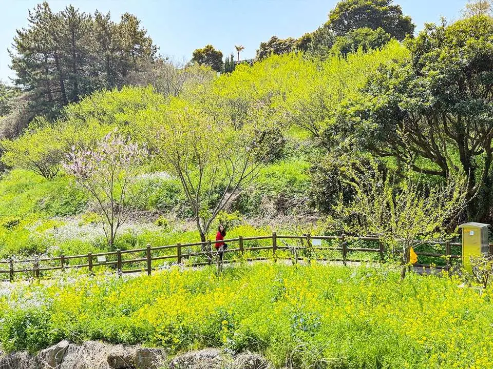 Enjoy a quiet escape surrounded by nature, where gentle trails and fresh air create a refreshing experience.
