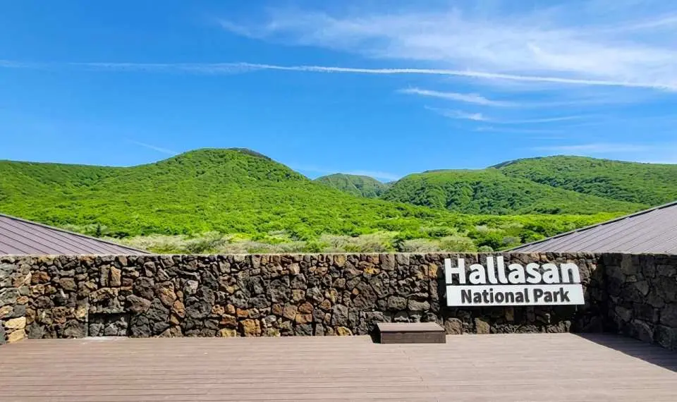 For those who prefer a lighter experience instead of hiking, you can relax and soak in the fresh mountain air around the Eorimok rest area. It offers a peaceful retreat where you can enjoy the serene woodland scenery and the untouched beauty of Mt. Halla’s high-altitude nature.