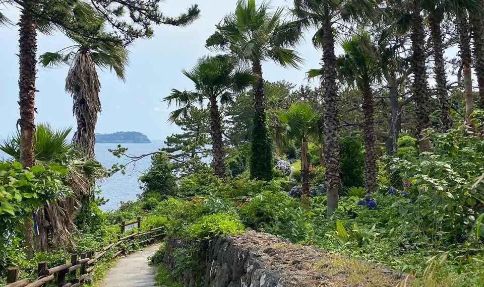 Take a scenic stroll along Olle Route 7 to encounter the iconic Oedolgae Rock, a lonely yet magnificent sentinel of the southern coast. This peaceful path offers a harmonious blend of pine forests and sea breezes, making it one of the most beloved walking trails in Jeju.