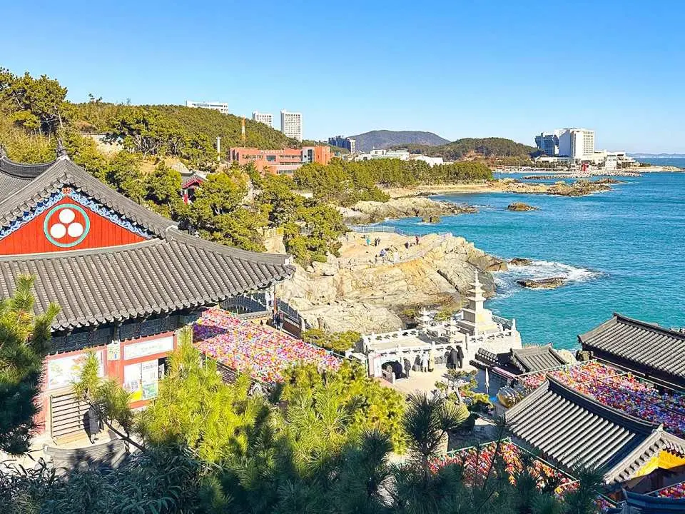 一天之内玩转釜山精华

从海边寺庙到海岸风景和色彩缤纷的村庄，参加精心策划的一日游，体验釜山最具代表性的景点。