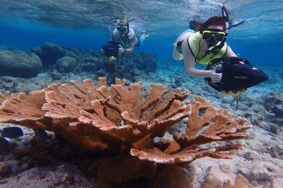 【水晶灣】

水晶灣擁有清澈的海水和易於接近的珊瑚礁，根據海況，這裡適合輕鬆的浮潛活動。