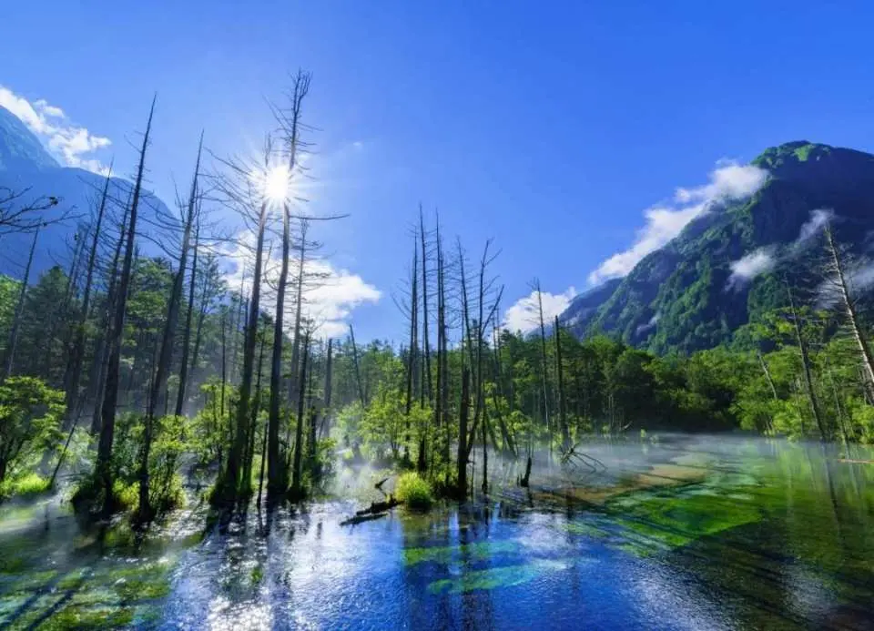 11:30 Arrive at the Upper Alps and experience the beautiful scenery of the Alps (3.5 hours of free time).