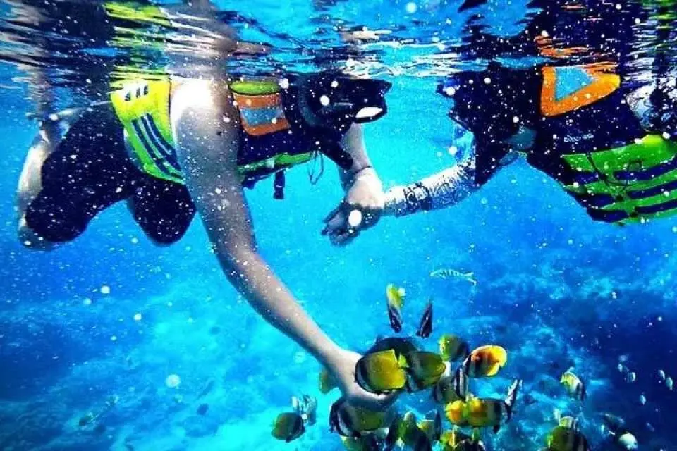 Swim in clear turquoise water and explore colorful coral reefs filled with tropical fish. The gentle currents and shallow reefs make this location ideal for both beginners and experienced snorkelers. Depending on sea conditions, you may also visit nearby snorkeling points around Padangbai for even more diverse marine life.