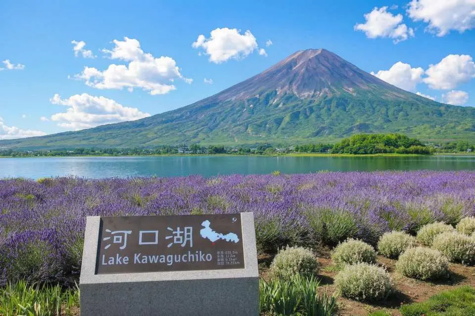 站在这片被誉为大自然四季调色盘的地方，尽情欣赏富士山的壮丽雄姿。