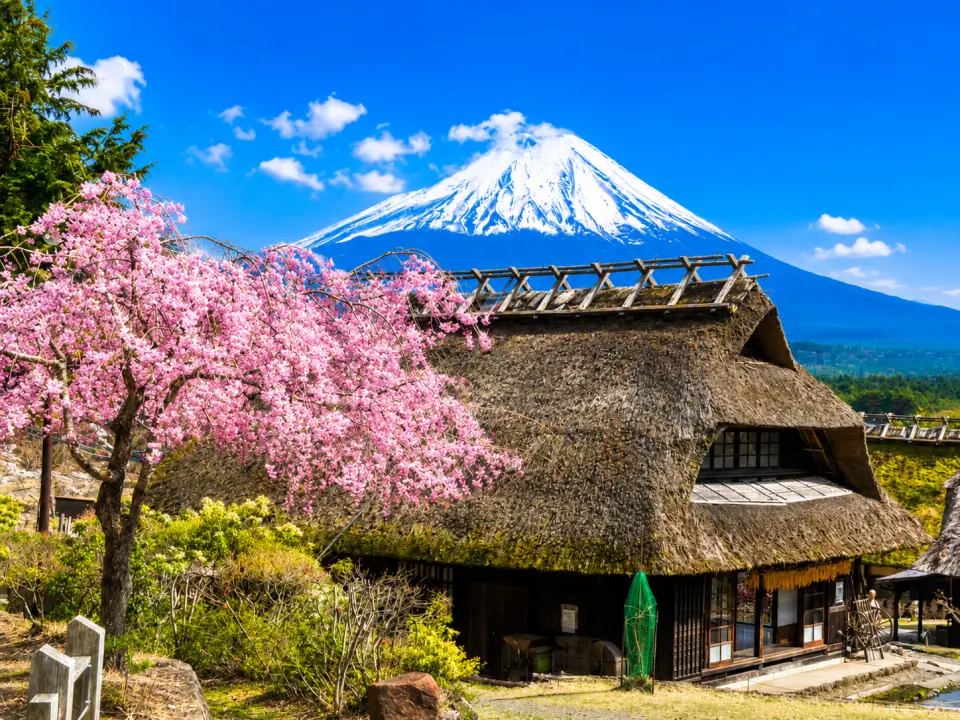 西湖療癒之里根場是一座重現日本傳統農村風貌的文化聚落，以茅草屋古民家與富士山相映成趣的景色聞名。漫步於古色古香的村落中，可欣賞富士山壯麗景致，感受昔日日本鄉村的寧靜氛圍，彷彿走進一幅充滿懷舊氣息的風景畫。
園區內設有傳統工藝體驗、特色伴手禮店及在地美食，還可租借和服或忍者服飾拍照留念，留下獨具日本風情的旅遊回憶。四季更迭的自然景觀與古樸建築交織出不同風貌，無論何時造訪，都能感受富士山腳下獨有的文化魅力與絕美景色，是富士山地區不可錯過的人氣景點。