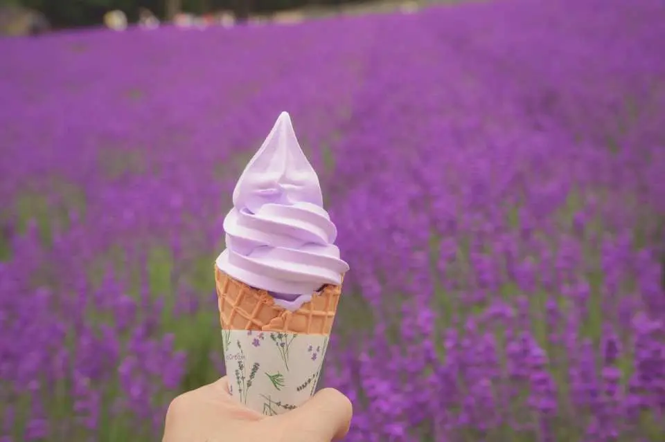 Enjoy the most authentic Hokkaido ice cream
