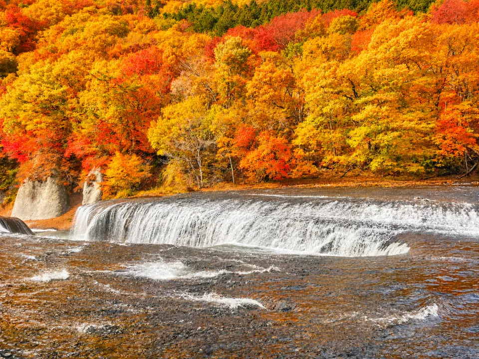 Available only in autumn! Take a stroll down the Fukiware Falls trail and take in the magnificent view of roaring waterfalls framed by layers of red autumn leaves. Come experience Gunma’s most iconic hidden spot for fall colors.