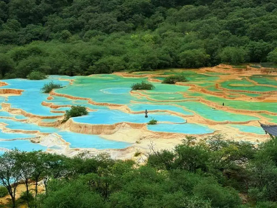 黃龍景區
距九寨溝100公里，位於松潘縣，同為世界自然遺產、國家5A級景區，以「人間瑤池」著稱。核心景觀集中於3.6公里長的黃龍溝，獨特鈣華地貌如金色巨龍蜿蜒山間。頂端五彩池海拔3900米，是全球規模最大、海拔最高的露天鈣華彩池群，693個彩池在陽光下呈現藍綠黃橙等斑斕色彩。景區兼具「彩池、雪山、峽谷、森林、灘流、古寺、民俗」「七絕」，黃龍古寺與自然奇觀相映成趣，高原濕地生態與巖溶景觀完美融合。