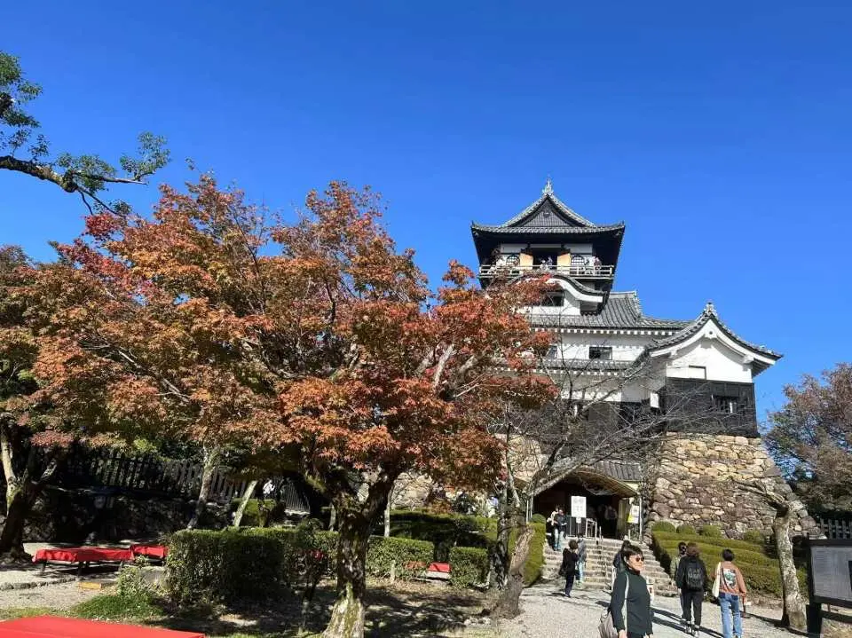 室町時代に築城された犬山城は、木曽川沿いの小高い丘の上に建っています。白帝城とも呼ばれ、その名は李白の詩「白帝出朝」に由来します。犬山城の天守閣は、日本十二古城の一つであり、その様式は非常に古いとされています。姫路城、松本城、彦根城とともに、日本の「国宝四大城」の一つに数えられています。城は地上三階、内層四階、そして地下二階という、日本の城郭としては珍しい構造を誇ります。これらの地下階は一般公開されており、城の様々な建築構造を見学することができます。四階には、景色を楽しめる屋外回廊もあります。