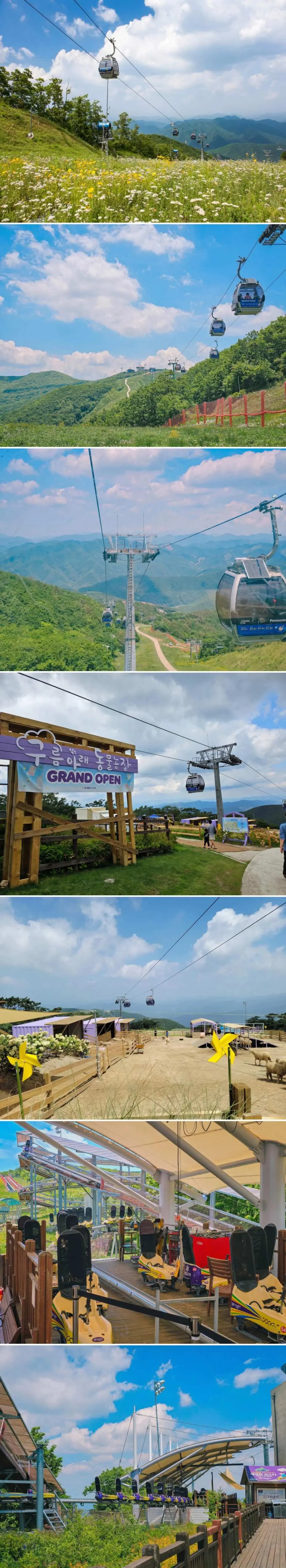 Cable Car : "Fly Above the Clouds." Take a scenic cable car ride to a farm in the sky!
Alpain Coaster : From fluffy sheep to the thrilling Alpine Coaster, get ready for an adrenaline-filled escape.