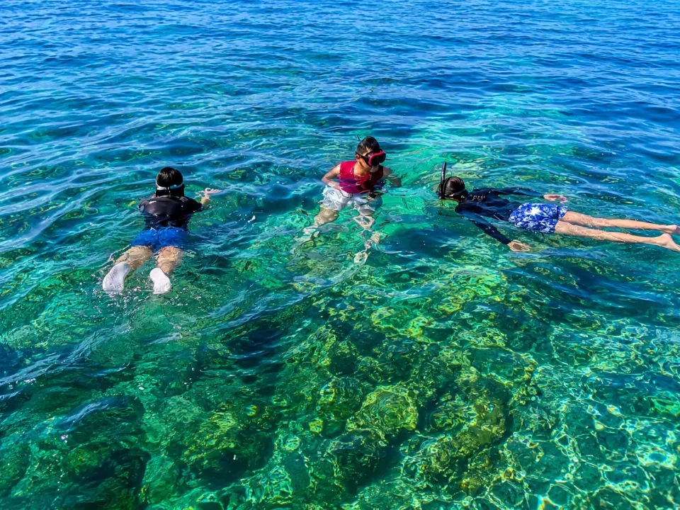 Snorkeling (crocodile island and coral garden): Boracay Island is surrounded by vibrant fringing reefs. Crocodile island, named for its crocodile-like silhouette, is widely regarded by marine biologists and travel writers as one of the premier snorkeling spots in the region. Private charter tours allow enthusiasts to observe various corals and tropical fish, such as clownfish and parrotfish, in their natural habitat. The shallow waters of coral garden make it an ideal location for underwater photography and beginner snorkelers.