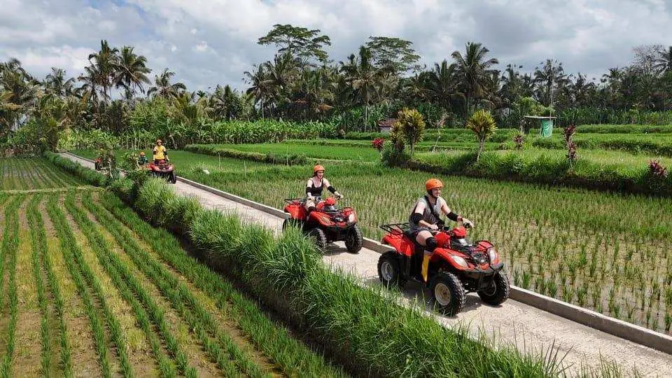 ATV in Ubud is famous for its thrilling, muddy off-road adventures through the heart of Bali’s lush jungles, rice paddies, and traditional villages. Its signature experiences include riding through long, dramatic natural tunnels/caves, splashing directly through scenic waterfalls, and traversing rugged rivers