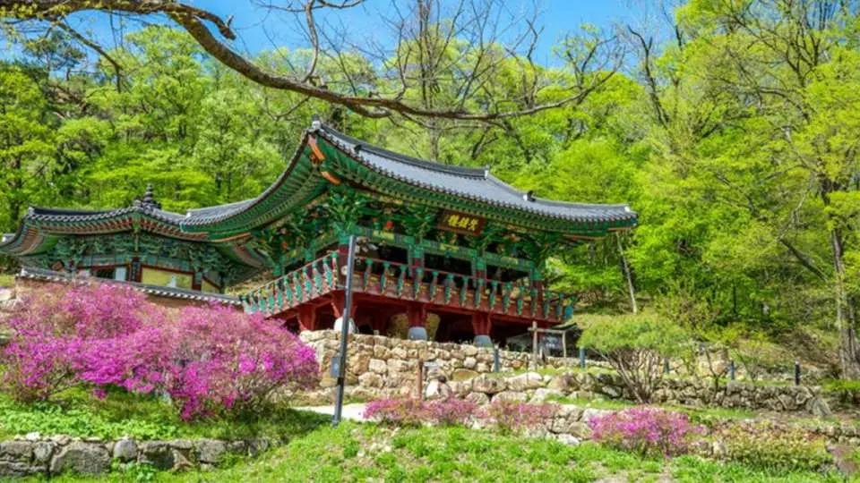 拥有超过千年历史，是韩国代表性的古刹之一，充满浓厚的历史与文化气息。坐落于龙门山山腰，四周群山环绕，四季景色各具魅力。寺内保存大雄殿等珍贵文化遗产，是感受韩国传统佛教文化的绝佳去处。