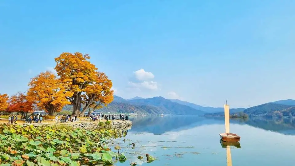 四季景色各具特色，春季新绿、夏季翠意、秋季枫红、冬季雪景皆令人流连忘返。