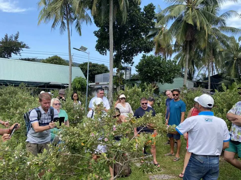 Sim Wine Production Facility: From ripe wild sim berries in the forest, the people of Phu Quoc have transformed them into a specialty, cultivating them professionally to produce Phu Quoc sim wine. That's why our trip will take you to visit a sim wine production facility.
