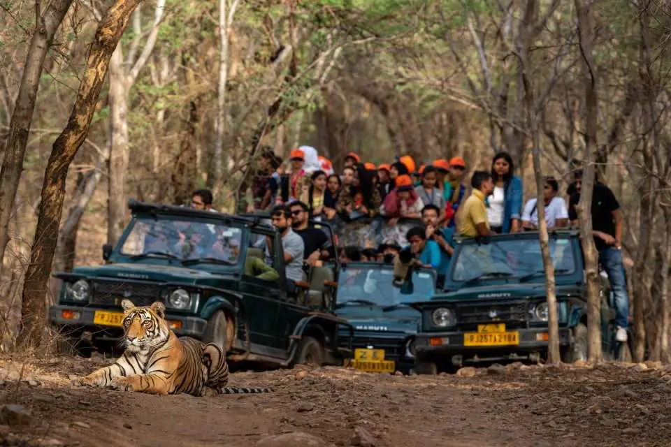 After completing the tour, guests will be dropped off at their desired location in Khajuraho, marking the end of a memorable journey.