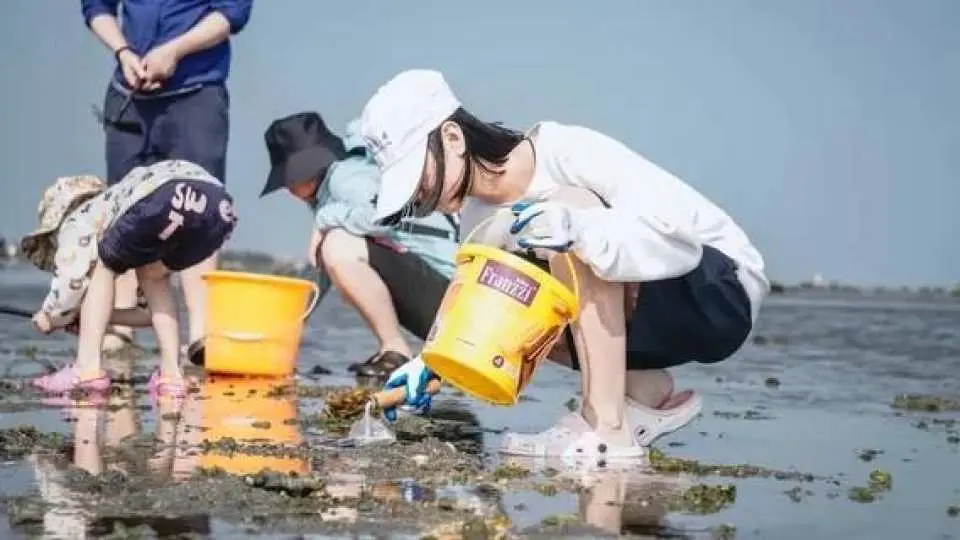 灘塗趕海