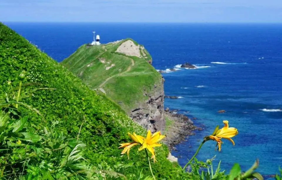 【神威岬】神威岬位于积丹半岛最北端，是北海道最具代表性的海岬景观之一。这里拥有被称为“积丹蓝”的独特海色，海水呈现深邃的钴蓝色，在阳光照射下层次分明，极具视觉冲击力。游客可沿着海岬步道步行前往尽头，途中可俯瞰辽阔海域与壮丽悬崖风光，仿佛置身海天尽头，是感受北海道自然之美的经典地点。
