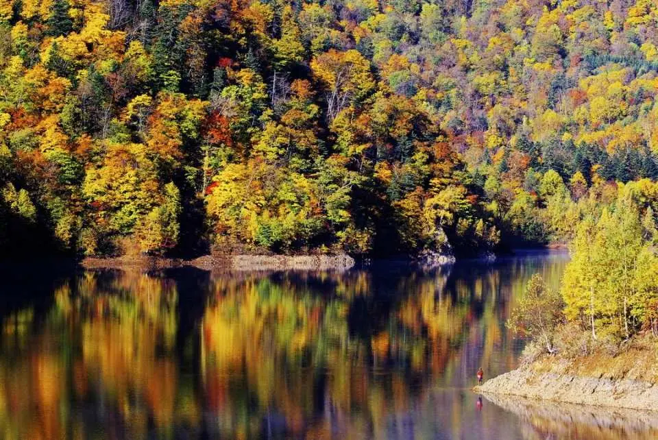 豐平峽紅黃漸層山林倒映湖面的夢幻景色