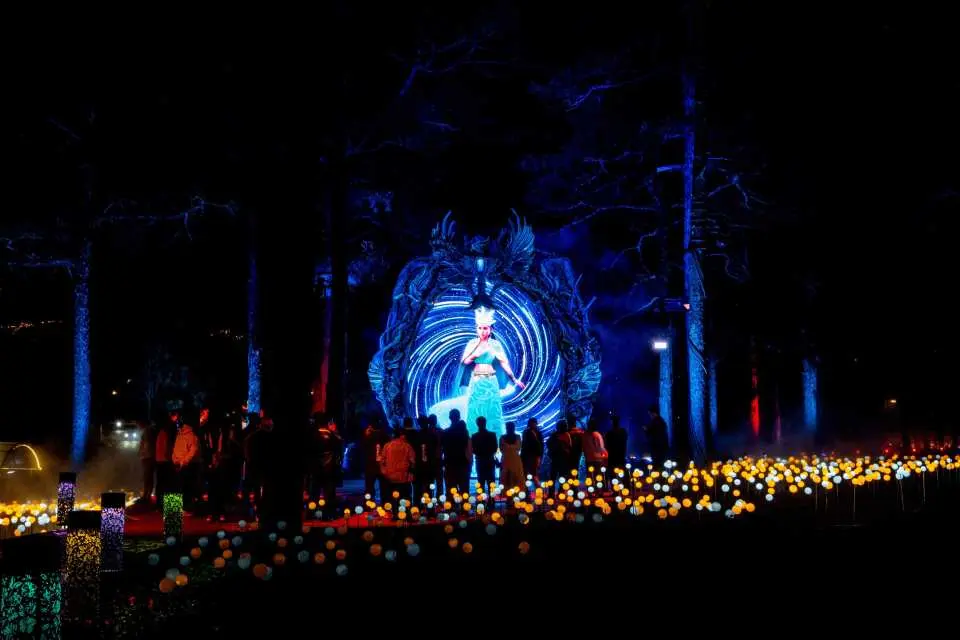 Celestial Wonderland Night Tour