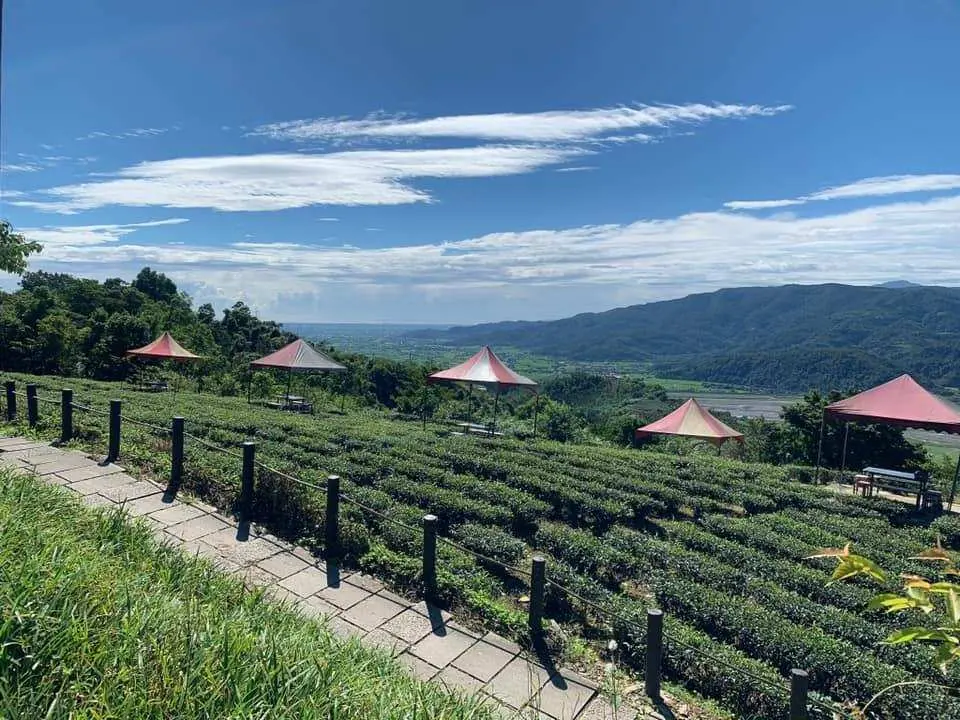 漫步玉蘭茶園山徑，在茶香與山風間感受蘭陽茶鄉悠閒風情。