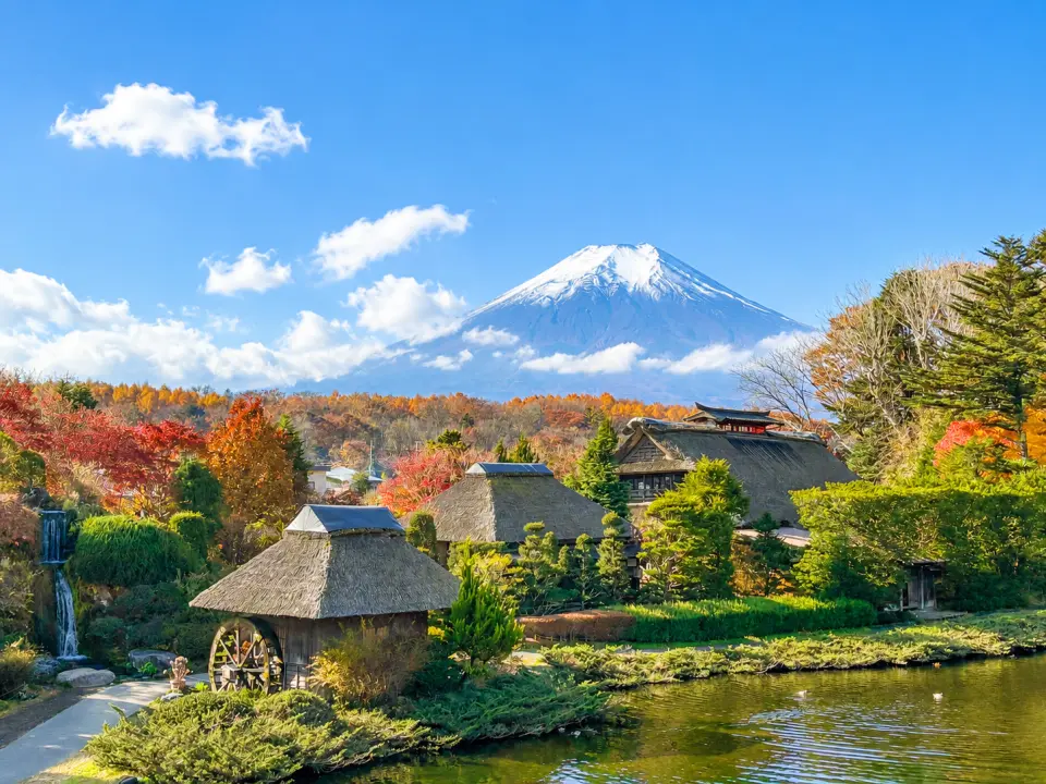 忍野八海由富士山雪水經長年過濾後形成的八處天然湧泉組成，以清澈見底的池水聞名，被列為世界文化遺產構成資產之一。園區保留濃厚日式鄉村風情，可欣賞傳統茅草屋、潺潺流水與富士山同框的絕美景色。沿途還可品嚐當地小吃與特色伴手禮，是兼具自然、人文與美食魅力的人氣散策景點。