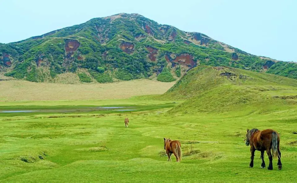 【草千里】位於阿蘇火山外輪山與中岳之間，是阿蘇地區最具代表性的自然景觀之一。遼闊的草原隨四季展現不同風貌，中央點綴著天然池塘，遠處則可眺望阿蘇火山群的壯麗景色。旅客可在此悠閒散步、騎馬體驗，感受阿蘇高原開闊壯觀的自然魅力，是來到熊本不可錯過的人氣景點。