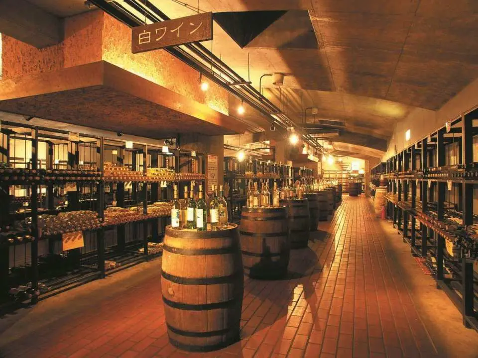 A tour of the underground wine cellar at Katsunuma Grape Hill in Koshu City! (50 minutes)