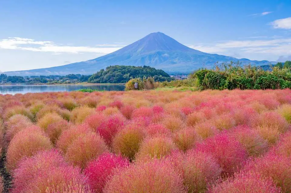 อย่าพลาดชมการไล่ระดับสีที่มีเฉพาะในฤดูใบไม้ร่วง!
