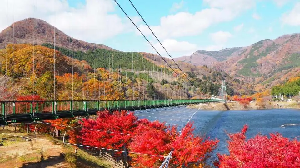 橫跨鹽原水壩湖面的紅葉谷大吊橋，是鹽原地區最具代表性的賞楓名所之一。漫步於長達320公尺的吊橋上，眼前盡是被紅、黃、橙色染色的山谷景觀，腳下則是碧綠湖水與溪谷風光，彷彿走進一幅秋日風景畫之中。