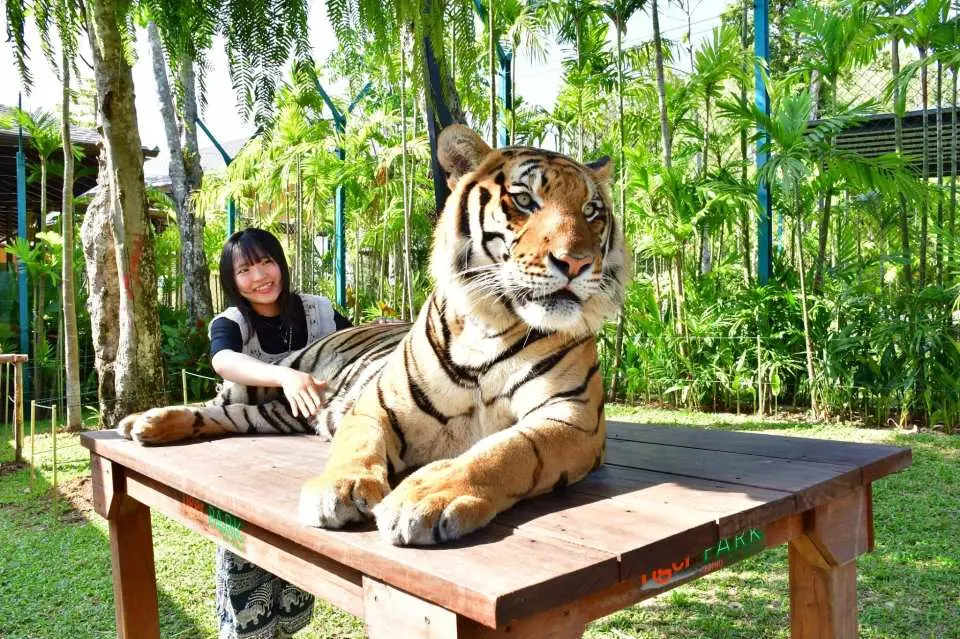 The best travel is the one that makes you feel at one with nature and the gentle, majestic animals
