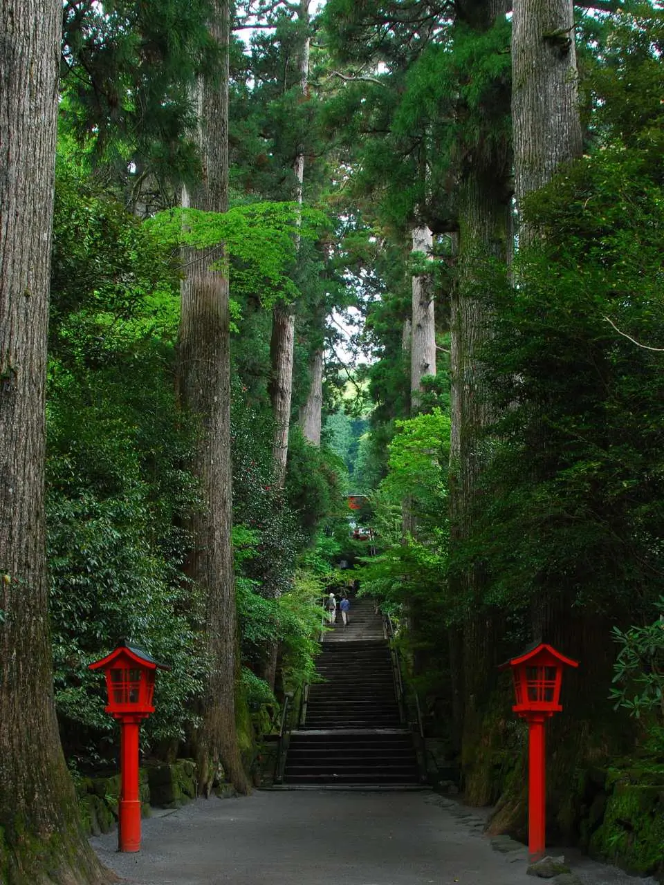 箱根神社：擁有1250多年歷史的古社，參道兩邊是樹齡超過800年的參天杉樹，走在青石板路上，只能聽到風聲和鳥鳴，瞬間就能把之前玩鬧的疲憊都卸掉。