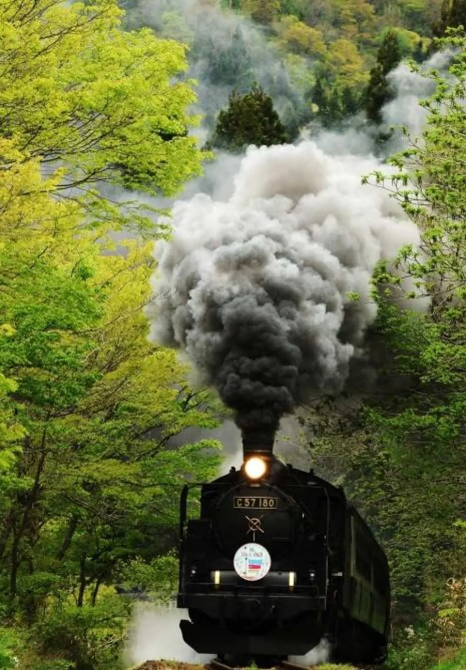 緑豊かな森を駆け抜けるSL列車！大自然の中を走る蒸気機関車の雄姿！（イメージ）
