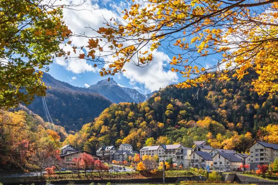 秋季限定的楓紅山景