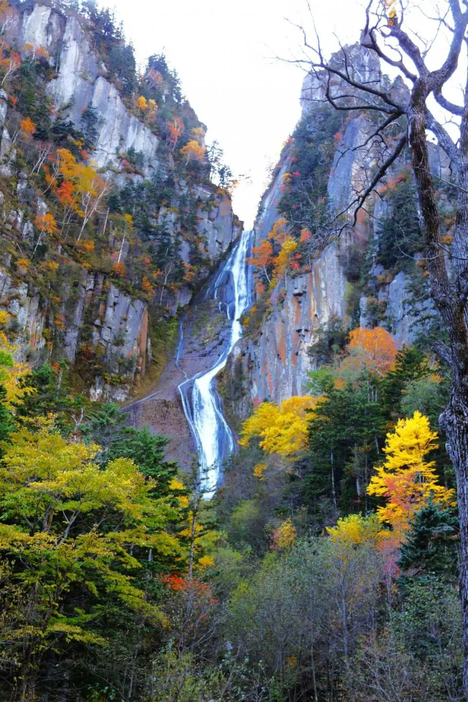 火紅楓葉與純白飛瀑的夢幻景色