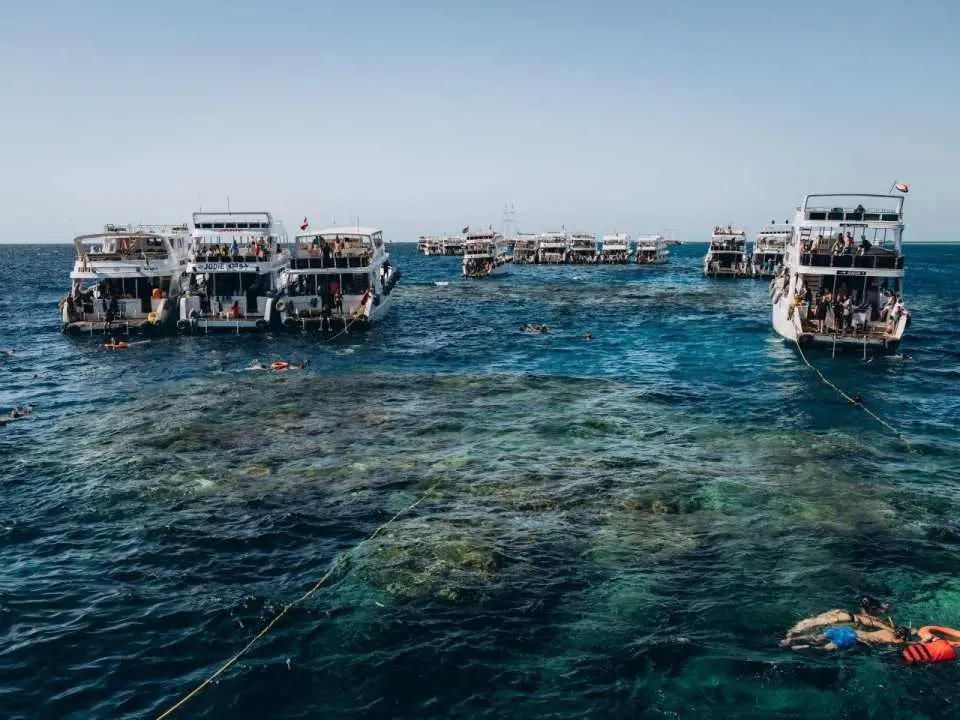 Hotel pickup
Start with pickup from your confirmed hotel location in Sharm El Sheikh. Transfer time may vary depending on your hotel and route.
Marina arrival
Arrive at the marina, meet the crew, show your booking confirmation when needed, and prepare to board the boat.
Safety briefing
The crew explains boat rules, snorkeling guidance, sea safety instructions, and the expected program for the day.
Sailing to Ras Mohammed
Depart from the marina and enjoy the Red Sea views while sailing toward the Ras Mohammed National Park sea area.
Snorkeling stops
Stop at selected reef locations for snorkeling when weather, visibility, and safety conditions allow.
White Island visit
Visit or stop near White Island when sea conditions, tide, access rules, and the daily route allow.
Relaxation on board
Rest between stops, enjoy the sea atmosphere, take photos, and follow the crew’s instructions throughout the trip.
Return sailing
After the sea program, the boat sails back toward the marina according to the daily operating schedule.
Hotel drop-off
After returning to the marina, guests are transferred back to their confirmed hotel or drop-off location.