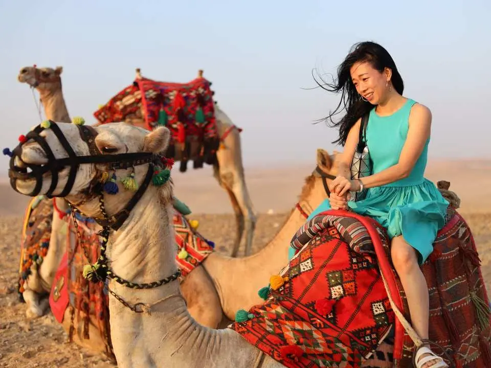 Your tour begins with early pickup from your hotel or selected pickup point. Transfer time may vary depending on your hotel location, and final pickup details are confirmed one day before the activity. After meeting your guide and driver, travel by private air-conditioned vehicle toward the pyramid area.

Start with Pyramids at Sunrise, where the morning light and ancient setting create the opening experience of the day. Sunrise timing and visibility may vary depending on the season, weather, and local conditions.

After the sunrise section, continue to the Memphis and Saqqara Tour. Your guide leads the visit according to the selected language, confirmed package, daily timing, site operation, and ticketing flow. If your selected package includes tickets, the listed required entry is included. If the package without tickets and lunch is selected, entry fees are paid separately.

Lunch is included only if the with tickets and lunch package is selected. If the without tickets and lunch package is selected, lunch is not included. Dahshur is not included unless clearly confirmed in the selected booking. At the end of the tour, return by private vehicle for drop-off.