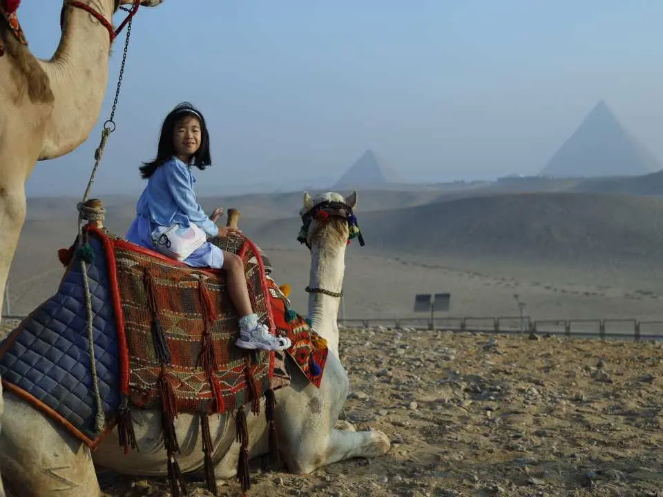 Your tour begins with early pickup from your hotel or selected pickup point. Transfer time may vary depending on your hotel location, and final pickup details are confirmed one day before the activity. After meeting your guide and driver, travel by private air-conditioned vehicle toward the Giza area.

Start with Pyramids at Sunrise, where the morning light and pyramid setting create the first part of the experience. Your guide introduces the area according to the selected language and confirmed package. If your selected package includes tickets, the listed required entry is included. If the package without tickets and lunch is selected, entry fees are paid separately if required.

After the sunrise visit, continue to the Egyptian Museum Cairo Tour. Your guide introduces the museum visit according to the confirmed package, selected language, ticketing flow, museum access, and daily timing.

Lunch is included only if the with tickets and lunch package is selected. If the without tickets and lunch package is selected, lunch is not included. Breakfast is not included unless clearly confirmed in the selected package. At the end of the tour, return by private vehicle for drop-off.