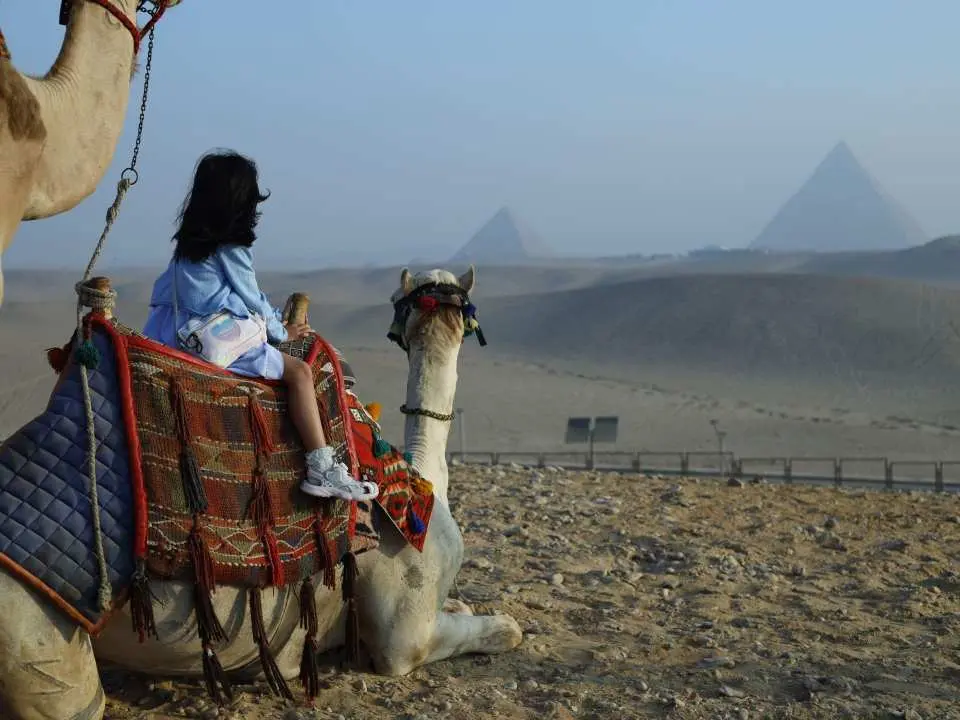 Your tour begins with early pickup from your hotel or selected pickup point. Transfer time may vary depending on your hotel location, and final pickup details are confirmed one day before the activity. After meeting your guide and driver, travel by private air-conditioned vehicle toward the Giza area.

Start with Pyramids at Sunrise, where the morning light and pyramid setting create the first part of the experience. Your guide introduces the area according to the selected language and confirmed package. If your selected package includes tickets, the listed required entry is included. If the package without tickets and lunch is selected, entry fees are paid separately if required.

After the sunrise visit, continue with the Islamic and Coptic Cairo Tour according to the confirmed route, selected package, access conditions, timing, and local operation.

Lunch is included only if the with tickets and lunch package is selected. If the without tickets and lunch package is selected, lunch is not included. Breakfast is not included unless clearly confirmed in the selected package. At the end of the tour, return by private vehicle for drop-off.