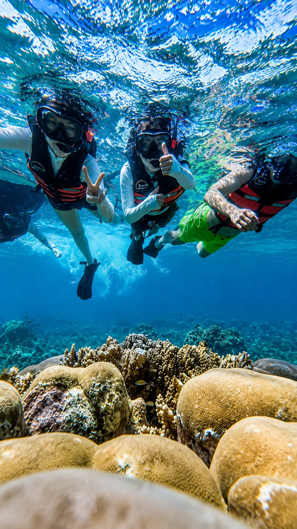 🤿 Snorkeling
Explore Boracay's vibrant marine life and coral reefs at designated snorkeling sites. Masks and fins are provided for an unforgettable underwater experience.