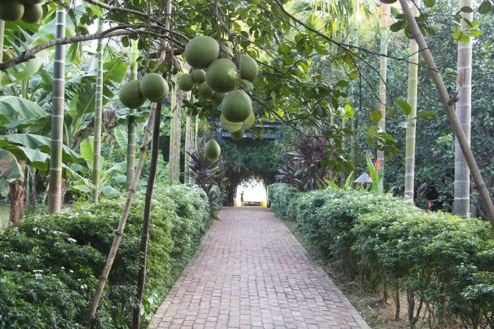Thuy Bieu Village: The traditional village in Hue along the Perfume River, known for its peaceful scenery, acient houses and Thanh Tra grapefruit. It offers an authentic experience of local culture and rural life in a quiet countryside setting.