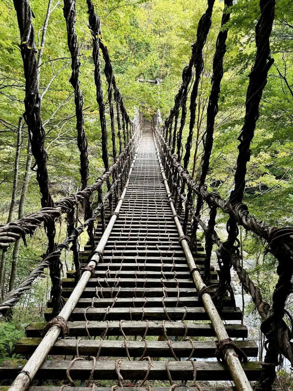 橫跨峽谷的傳統藤蔓吊橋（葛拉橋）*圖片由PIXTA提供