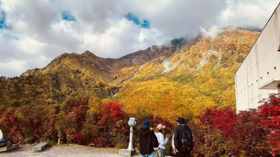 黒部平は、立山黒部アルペンルートの要衝であり、標高1,828メートルに位置する。立山と後立山の峰々に囲まれ、雄大な山々の眺望、黒部平の豊かな緑、そして黒部湖を見下ろす絶景で知られている。また、高山植物の観察にも最適な場所である。